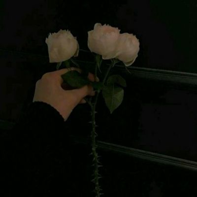 我在漫威的拉面馆